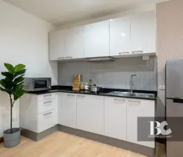 รูปที่ 2