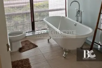 รูปที่ 3