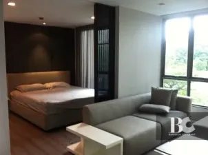 The Room
Sukhumvit 40