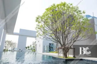 รูปที่ 2