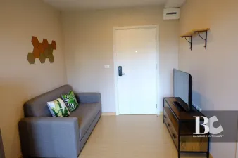 THE TREE
On Nut Station