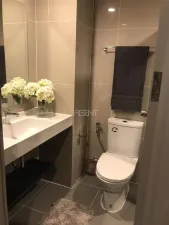 รูปที่ 3