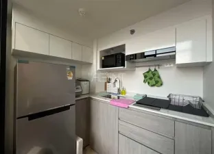 รูปที่ 5