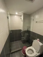 รูปที่ 5