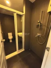 รูปที่ 5