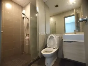 รูปที่ 3