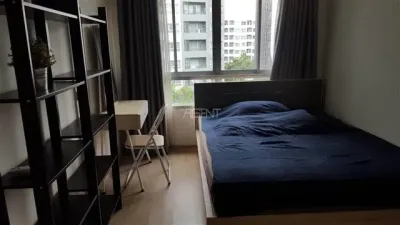 ขายพร้อมผู้เช่าคอนโดมิเนียม เอลลิโอ เดล เรย์  31 sq.m, 1 ห้องนอน