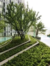 รูปที่ 2