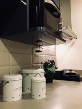 รูปที่ 2