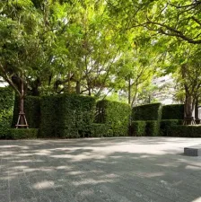 ขายพร้อมผู้เช่าคอนโดมิเนียม 39 บาย แสนสิริ  82 sq.m, 2 ห้องนอน