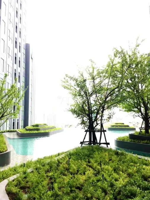 ขายพร้อมผู้เช่าคอนโดมิเนียม ไอดีโอ คิว จุฬา-สามย่าน  22.17 sq.m,  ห้องนอน Studio