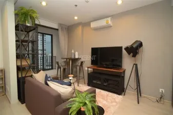 รูปที่ 3