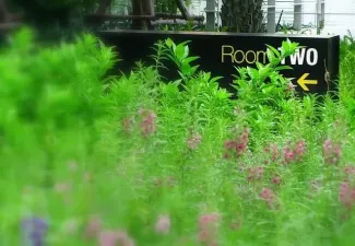 รูปที่ 5