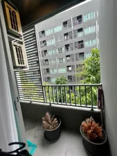 รูปที่ 4