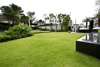 รูปที่ 2