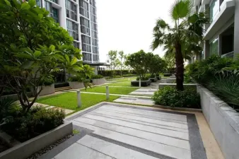 รูปที่ 5