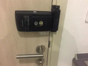 รูปที่ 3