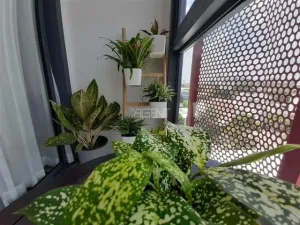 รูปที่ 2