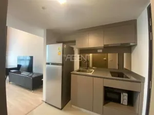 รูปที่ 3