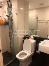 รูปที่ 3