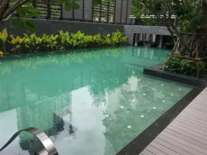 รูปที่ 2