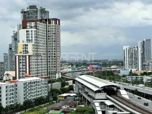 รูปที่ 5