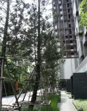 รูปที่ 2