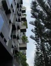 รูปที่ 3