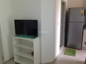 รูปที่ 3