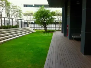 รูปที่ 2