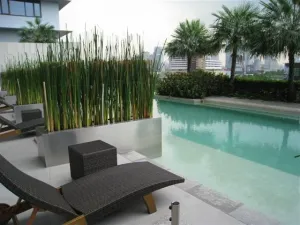 รูปที่ 3