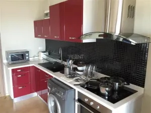 รูปที่ 5