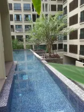 รูปที่ 3