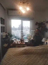 รูปที่ 5