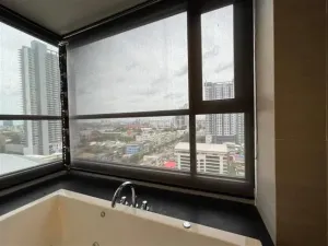 รูปที่ 3