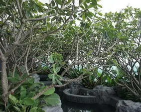 รูปที่ 4