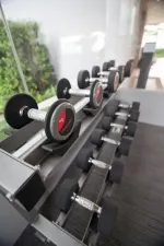 รูปที่ 5