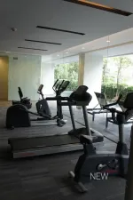 รูปที่ 5