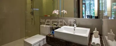 รูปที่ 3