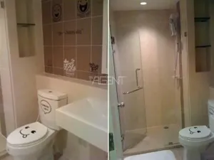 รูปที่ 5