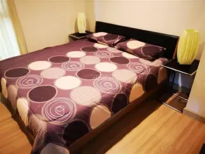 รูปที่ 2