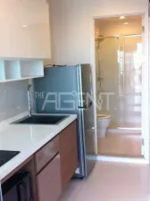 รูปที่ 3