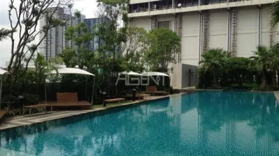 รูปที่ 3