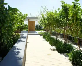 รูปที่ 3