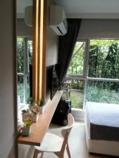 รูปที่ 5