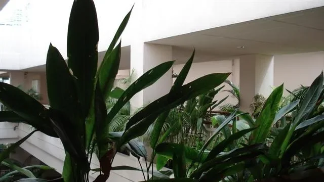 ขายพร้อมผู้เช่าคอนโดมิเนียม บ้านสิริ สุขุมวิท 13  73 sq.m, 2 ห้องนอน