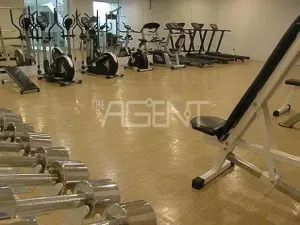 รูปที่ 4