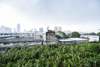 รูปที่ 3