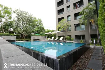 เดอะ ซี๊ด มูซี่