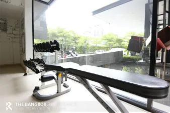 รูปที่ 5